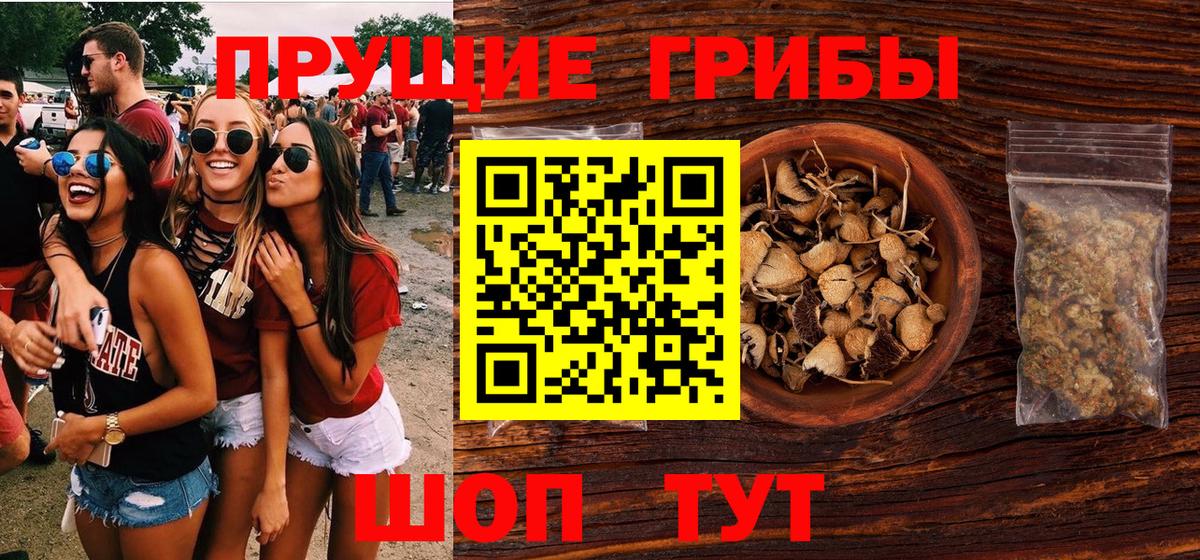 Галлюциногенные грибы прущие грибы  Вход с VPN  Дедовск 